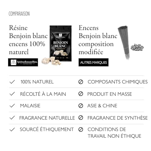 Encens Naturel - Bonheur - Purification - Protection - Protection pour Fumigation Brule Parfum ou encensoir (Benjoin Dragon Fly, 100 GR)