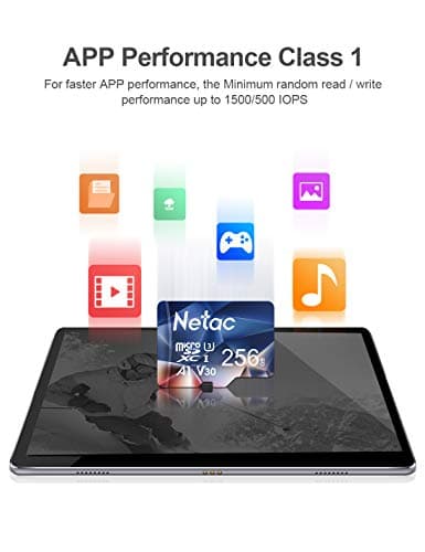 Netac 256 Go SDXC Carte Mémoire Micro SD pour Switch, Appareil Photo, Smartphone, PS Vita, PS4 Pro, Go Pro (UHS-1 A1 V30 U3 C10 4K UHD)
