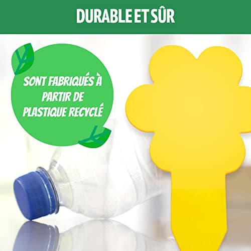Super Ninja Anti Moucherons Interieur – 10 Pièges – Attrape Mouche De Plantes - écologique – Tres Efficace - Utilisation Facile - Jusqu'à 3 Mois par Piege (10 Pièges)