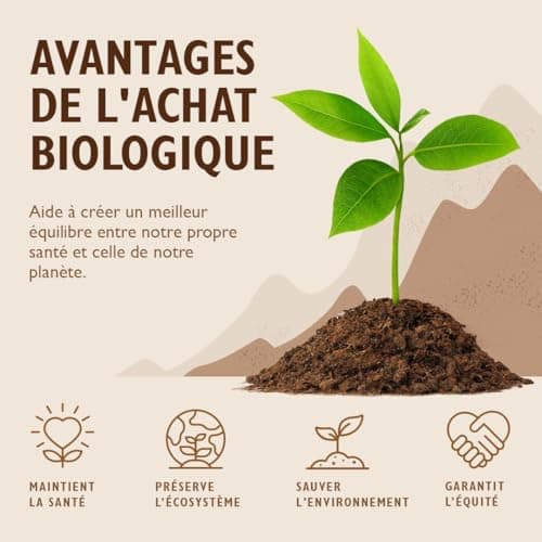 Sevenhills Wholefoods Poudre De Maca Cru Bio 1.8kg