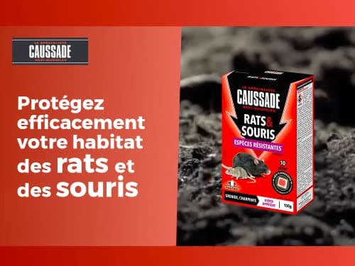 Caussade Anti Rats & Souris 150 g - Efficacité Radicale - Spécial Rats et Souris Résistants - 10 Pâtes Fluorescentes - Prêt à l'emploi - Hyper Appétent - Lieux secs et humides - Habitation, cuisine