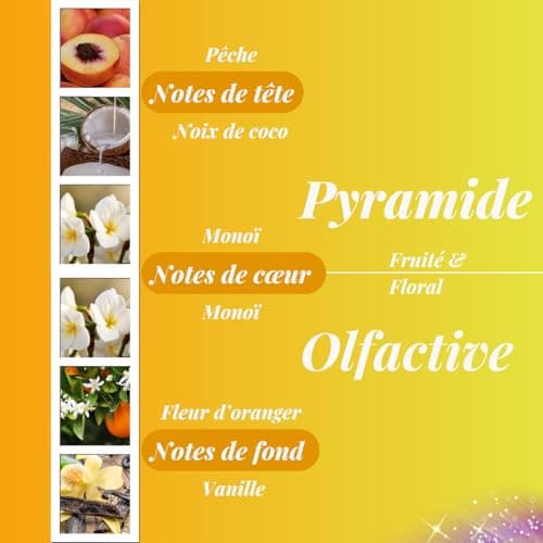 BOUGIE MAGIE - Fondant Parfumé pour Bruleur en Cire de Soja Naturelle Fait Main Parfumée - 6pcs/96 Grammes - Parfum Monoï Pêche - Coffret Cadeau