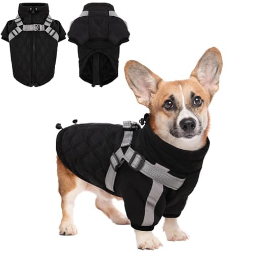 CITÉTOILE Manteau Chaud pour Chien, Veste Coupe-Vent pour Chien par Temps Froid, vêtement d'hiver pour Chien avec Fermetures éclair et Poignets Amples pour Chiens de Petite et Moyenne Taille, S
