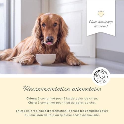 Vitamine B Complex 120 comprimés pour Chien et Chat : Vitamine B1, B2, B3, B5, B6, B9, B12 - Vitamines et compléments pour Chiens et Chats - Vitamine pour Chien - Vitamine Chat