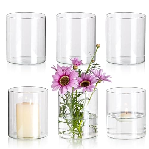 Glasseam Petit Vase en Verre, Vases Cylindriques Transparents pour Fleurs, 10 X 8,5 Cm, Vases à Bourgeons, Lot De 6, Vases à Fleurs Modernes pour La DéCoration, Vases Ouragan DéCoratifs