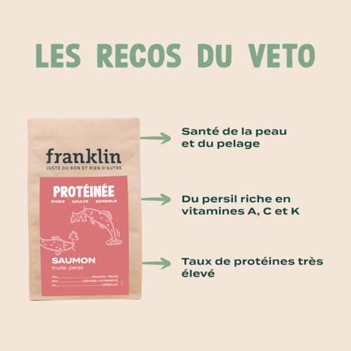Franklin – Croquettes pour Chien – Gamme Protéinée – avec 70% de Saumon – Mono-protéine – sans Céréales – Peau et Pelage – Forme Triangle 11mm – 6 kg