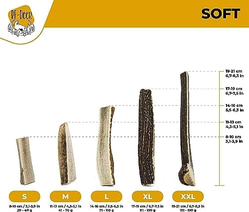 RF - Deer Bois de Cerf élaphe S (Lot de 5), Soft, 100% Naturel Bâtonnets Jouets à mâcher naturels pour Chien, Mâcher des os pour Le Plaisir et Les Soins dentaires, favorisant l'hygiène Dentaire