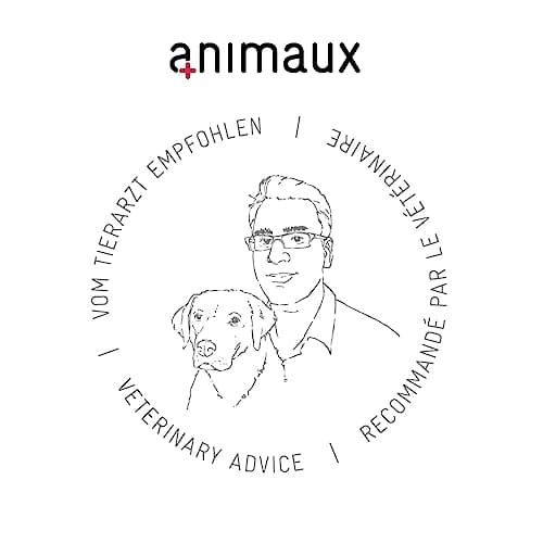 animaux Comprimés pour articulations pour Chats - 90 comprimés à mâcher - soutient Les articulations & Les os - Complément avec Moule Verte, Griffe du Diable & écorce de Saule in Motion Cats