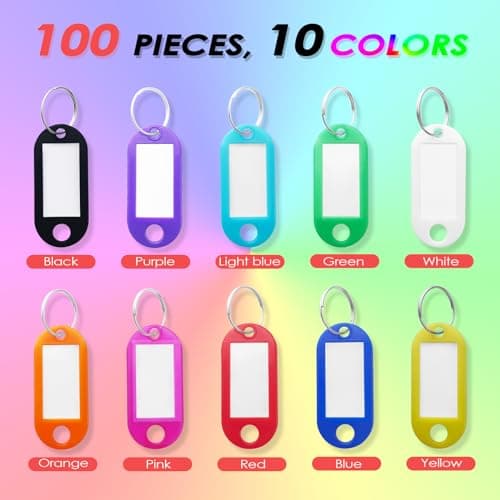 Rseuphiee 100 Pièces Porte-Clés, Étiquettes de Clé en Plastique, Inscriptibles Porte Clef Couleur en 10 Couleurs, en étiquettes d'identification avec Porte-Clé, pour Clefs, Bagages ou bureau