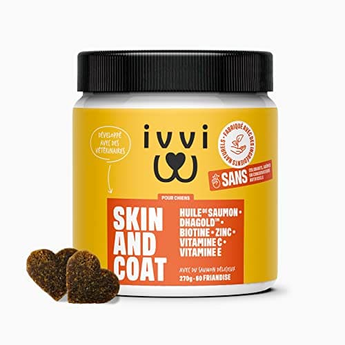 ivvi - Skin & Coat - Complément Alimentaire pour Chien, Anti-Démangeaisons, Fourrure Douce et Brillante - Oméga 3, Huile de Saumon, DHAgold, Vitamines C, E et Zinc - 60 Friandises au Saumon