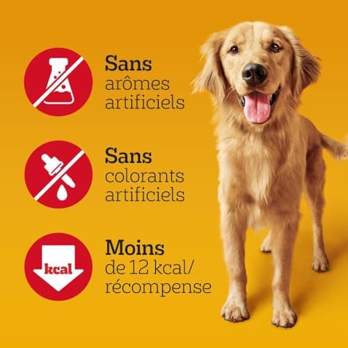 Pedigree Sa Récompense – Bouchées Moelleuses pour Chien – Friandises au poulet – 6 sachets de 130g