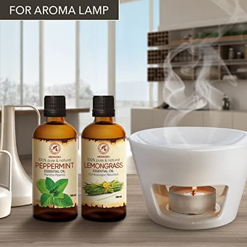 Huiles Essentielles Set 2x100ml - Huile de Menthe Poivrée - Huile de Citronnelle - Pur & Naturel pour Diffuseurs - Aromathérapie - Beauté - Spa - Relaxation - Bain