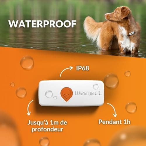 Weenect Chien XS - Nouveau GPS pour Chien | Mini Traceur GPS pour Chien en Temps réel | Etanche | Plus Petit modèle du marché | Fonctionne avec abonnement | Garantie à Vie
