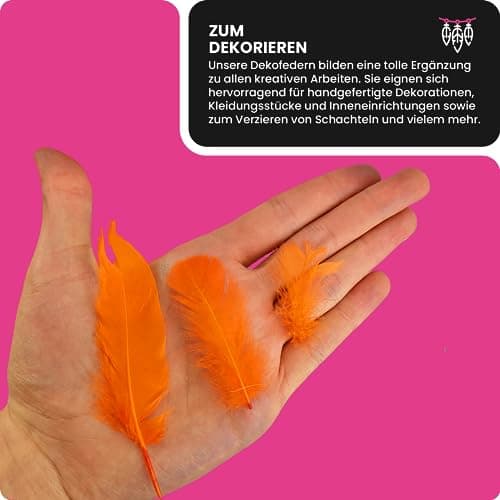 Netuno 150 plumes décoratives oranges foncées 10g plumes duveteuses plumes d'oiseaux plumes naturelles pour loisirs créatifs DIY bricolage décorations de fêtes attrape-rêves fabrication de masques