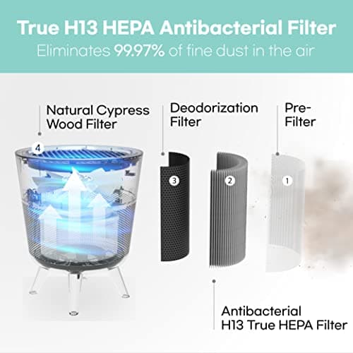 IMUNSEN M-002R Purificateur d'air avec filtre en bois de cyprès, filtre HEPA véritable H13, 100% sans ozone, Fabriqué en Corée - Rouge