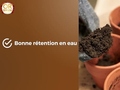 Or Brun Terreau Rempotage Universel - 6L - pour Toutes Les Plantes en Pots - Améliore la Croissance OBRTREM6U