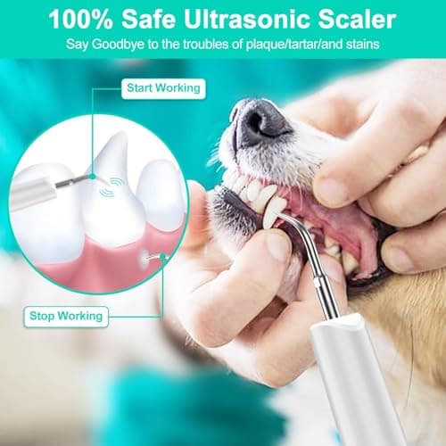 Brosses à Dents à Ultrasons pour Chiens et Chats, Kit de Nettoyage DesDents pour Chiens et Chats Dents Dents Nettoyeur Dedents Nettoyeur de DentsUltrasonique Brosse à Dents Kit