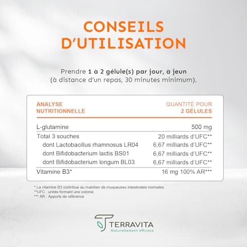 PERMEA FLORE | Probiotiques et Glutamine | Flore Intestinale et Cicatrisation de la Muqueuse | Idéal Contre la Perméabilité Intestinale | 60 Gélules Gastro-résistantes | Made in France | Terravita