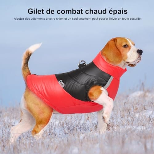 Manteau d'hiver pour Chien pour Veste Chaud des Chiens pour Chien Pet Chiot vêtements Imperméables Assortis Tailles et Couleur (S, B-Rouge)