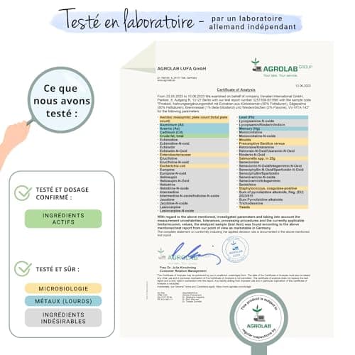 Complexe Prostate & Confort Urinaire Homme | 180 Gelules | 100% Naturel | Saw Palmetto + Ortie + Epilobe + Citrouille | Avec 45% Acides Gras | VEGAN | 3 Mois