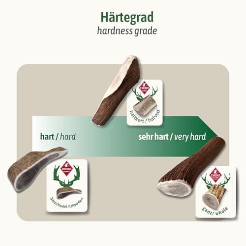 ChronoBalance® Bâtonnets L à mâcher en Bois de cerf pour Chiens: Jouet à mâcher Naturel, en Bois de cerf à 100%, favorisant l'hygiène Dentaire, Durable, sans Produits Chimiques.