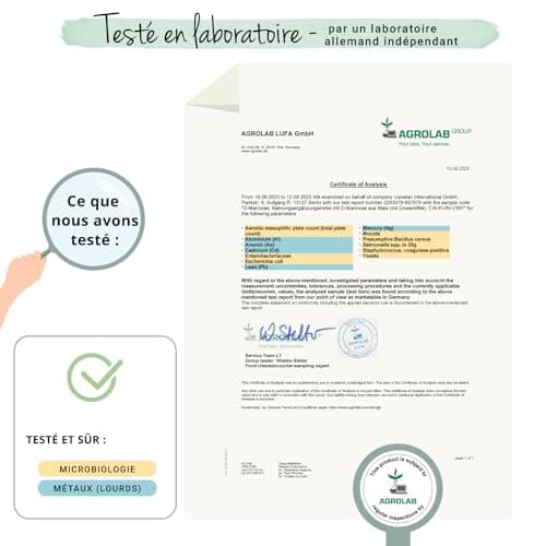 D-Mannose Poudre Vegavero® | 250 g – Pour plus de 4 mois | 100% NATUREL & PUR | 2000mg par dose | Testé en Laboratoire | Sans Additifs | Confort Urinaire | VEGAN