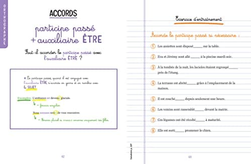 Finies les fautes: Les 101 règles de français que vous n'oublierez plus jamais