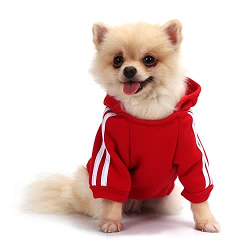 QiCheng & LYS Manteau Chiot Polaire, Manteau Chien, Chihuahua Pull,Vêtements Chien Chihuahua,Manteau Hiver pour Chien (Rouge, Large)