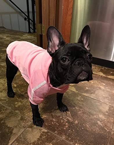 Ducomi Sweat à Capuche pour Chien 100% Coton - Manteau pour Petit, Moyen et Grand Chiens, Chihuahua, Bouledogue Français, Labrador, Pitbull et Amstaff, Pull Confortable (Rose, XL)