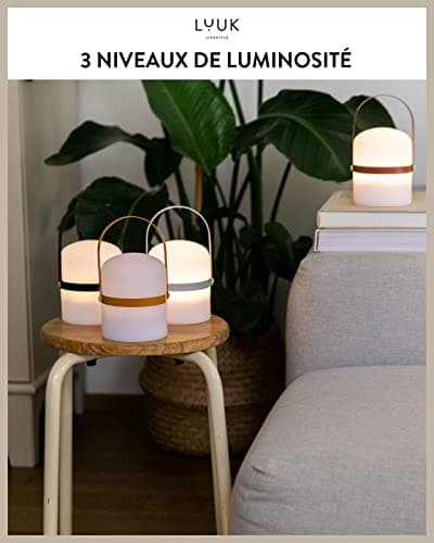LUUK LIFESTYLE Grande lanterne design pour extérieur et intérieur, décoration moderne, rechargeable et portable, en orange curry mat