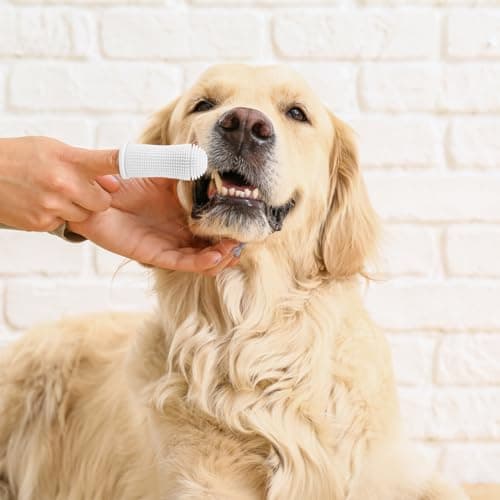 Avesteir Brosse 6 Pièces a Dent Chien 4 Couleurs, Brosses à Dents pour Chiens Silicone Souple et 360° Poils Entièrement Enveloppés, Brosse à Dent Chien Doigt pour Petits Animaux de Compagnie
