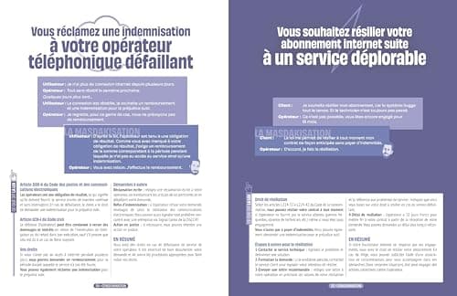 En finir avec les arnaques: L'art de masdakiser pour résoudre tous les litiges du quotidien