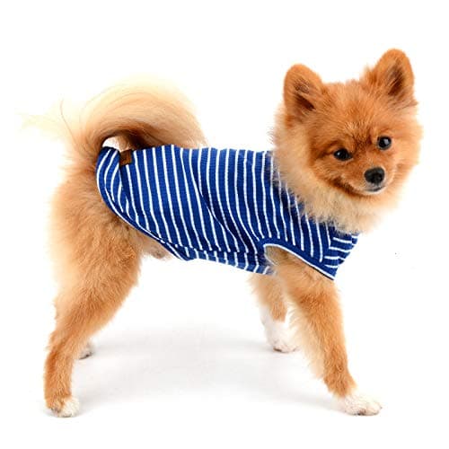 PAIDEFUL Vêtements pour Petits Chiens Garçon Fille été rayé Chiot t-Shirt Gilet Respirant Coton t-Shirt sans Manches Chihuahua Yorkshire Bleu S