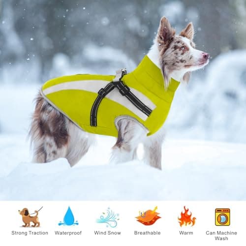 Oslueidy Manteau Imperméable pour Chien,Veste Chaude d'hiver Vêtements pour Animaux de Compagnie Coupe Manteau Chiens pour Le Petit Moyen Grande Chien (2XL, Vert)