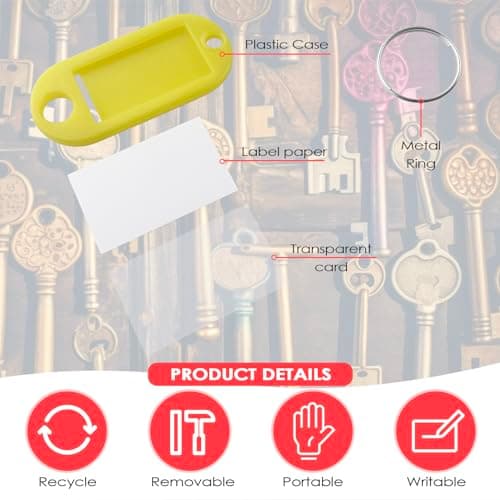 Rseuphiee 100 Pièces Porte-Clés, Étiquettes de Clé en Plastique, Inscriptibles Porte Clef Couleur en 10 Couleurs, en étiquettes d'identification avec Porte-Clé, pour Clefs, Bagages ou bureau