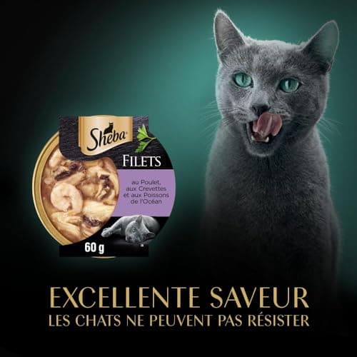 Sheba LES DOMES DE SHEBA 32 x 60g Les Filets Au Poulet, aux Crevettes et aux Poissons de l'Océan