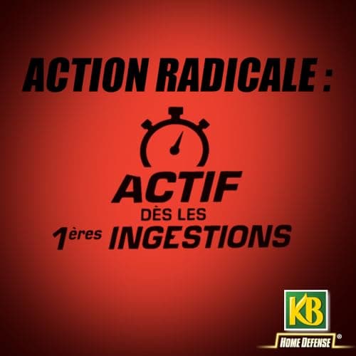 KB HOME DEFENSE RSOUPAT - Pâtes Anti-Rats et Souris 120 g - Action radicale - Actif dès la 1ère ingestion- Spécial lieux secs et humides -12 sachetsx10g pour emploi- jusqu'à 4 stations d'appâtage