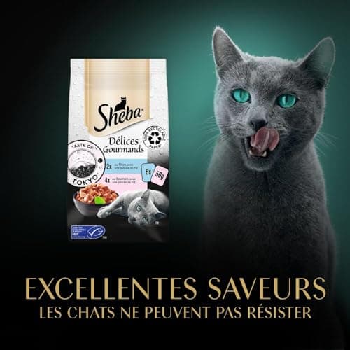 SHEBA Délices Gourmands Sachets fraîcheur , 12 X (6 x 50g) Taste of Tokyo
