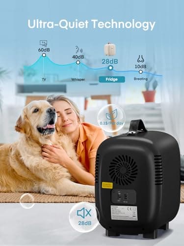 Mini Frigo de Chambre 5L, USB/AC/DC Brancher, Pour Voiture 12V 240V pour Camping, Petit Skincare Réfrigérateur Comestique Silencieux, Glacière Portable de Beauté, Garder Froid, 6 Canettes, Noir