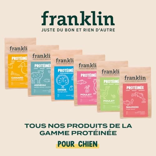 Franklin – Croquettes pour Chien – Gamme Protéinée – avec 70% de Saumon – Mono-protéine – sans Céréales – Peau et Pelage – Forme Triangle 11mm – 6 kg