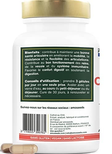 Cynorrhodon BIO | Hautement Dosé : 15 000mg / jour (10:1) | Confort Articulaire, Immunité | 90 gélules de 500mg | Riche en Vitamine C | Qualité Supérieure