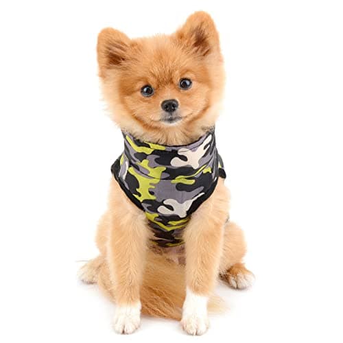 PAIDEFUL Manteau rembourré imperméable pour petit chien avec anneau en D pour chihuahua Yorkshire