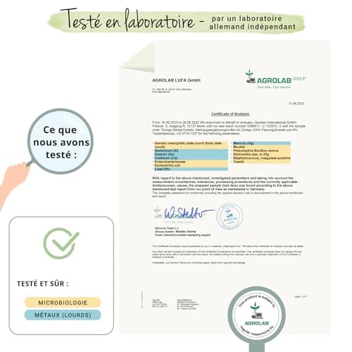 Ginkgo Biloba | Extra Fort : 6000mg | Mémoire + Circulation Sanguine | 180 Gélules | Unique : 24% Glycosides de Flavone + 6% Lactones Terpéniques | Vegan & Sans Additifs | Vegavero®