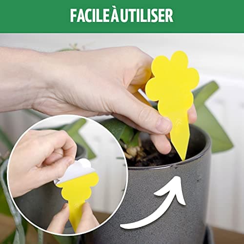 Super Ninja Anti Moucherons Interieur – 10 Pièges – Attrape Mouche De Plantes - écologique – Tres Efficace - Utilisation Facile - Jusqu'à 3 Mois par Piege (10 Pièges)