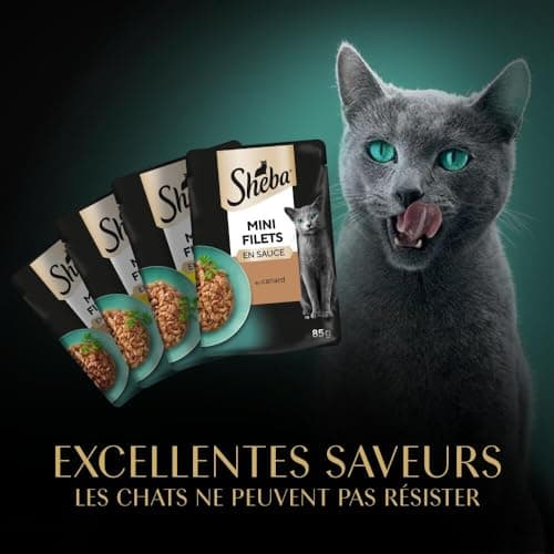 SHEBA Mini Filets - Sachets Fraîcheur en Sauce, Sélection à la Volaille pour Chat Adulte - 40x85g