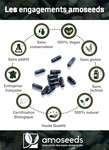 Charbon Actif Végétal BIO | Haute Concentration, 2000mg / Jour | 120 gélules de 334mg | Ballonnements, Flatulences | Qualité Supérieure, Français