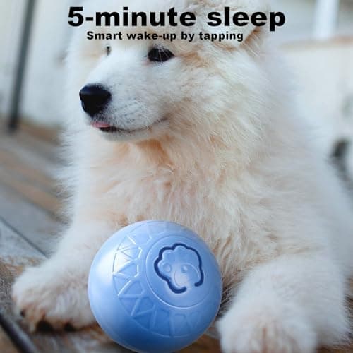 Balle pour chien – Jouet interactif coloré pour chien, jouet interactif pour chien, balle pour chien, balles de tennis pour chiens, extérieur, maison, grand chien