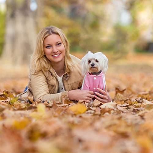 Dolahovy Sweat à Capuche pour Chien Vêtements pour Animaux de Compagnie Pulls pour Chiots Automne Wiver Polaire Chiens Veste Manteaux pour Chihuahua Teddy Petits Chiens Taille Moyenne Chats