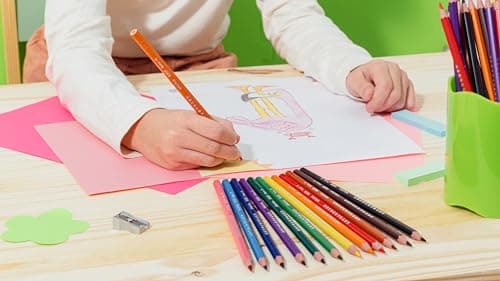 BIC Kids Ecriture Evolution ECOlutions Crayons de Couleur Eco-responsables - Couleurs Assorties, Etui Carton de 24