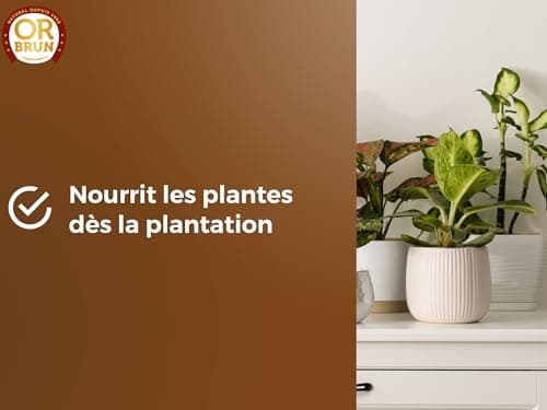 Or Brun Terreau Rempotage Universel - 6L - pour Toutes Les Plantes en Pots - Améliore la Croissance OBRTREM6U